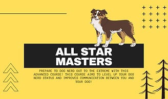 All Star Masters