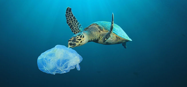 Plastic Polluted Ocean_edited.jpg