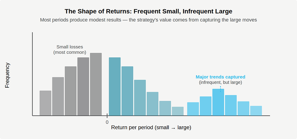 Bar chart titled "The Shape of Returns: Frequent Small, Infrequent Large" shows gray bars for frequent small losses and blue bars for rare large gains.