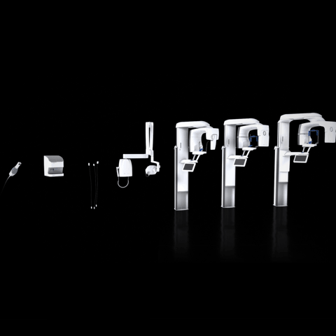 01_GIF_Portfolio_1x1.gif