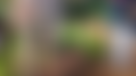 Experiência transformadora no Salema Eco Camp - Regenerative & Holistic Tourism e Santo António Villas, Golf & Spa