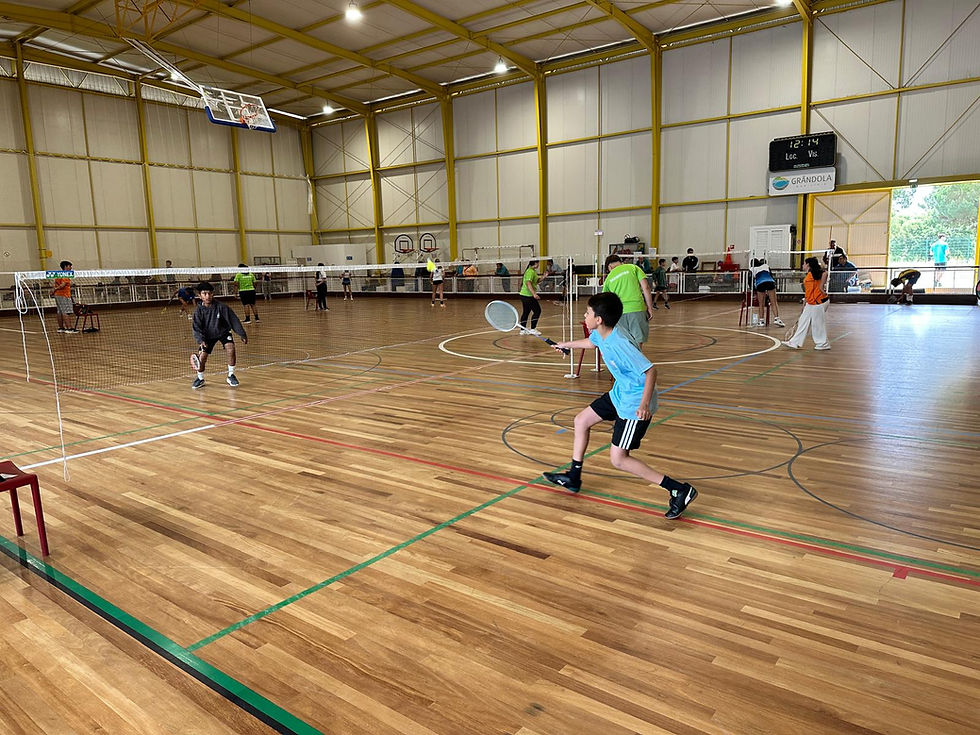 DISTRITAL DE INFANTIS B EM BADMINTON - GRÂNDOLA