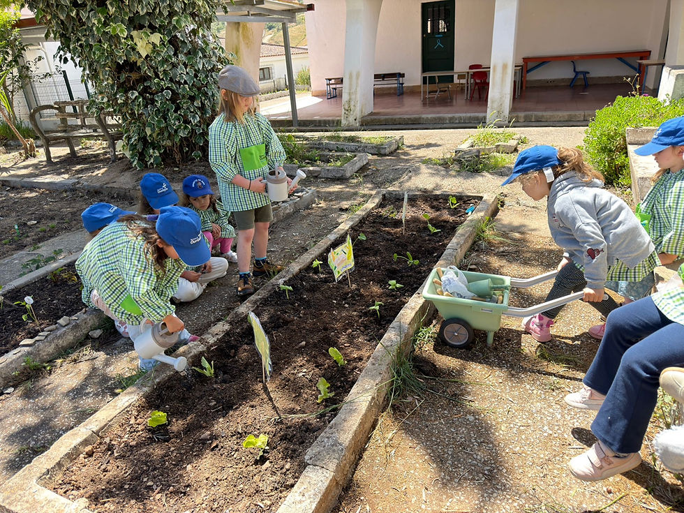 Horta Pedagógica - "Pequenos Jardineiros"