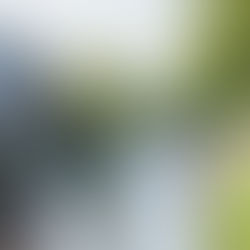Im Juli 2021 veränderte die Flutkatastrophe innerhalb weniger Stunden das Leben unzähliger Familien in der gesamten Großregion. Auch in der Eupener Unterstadt riss das Wasser damals alles mit sich.