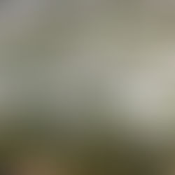 Durham City Council approves $44 million bond for major redevelopment in Hayti