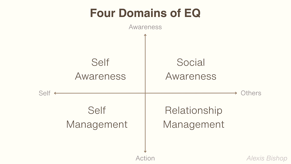 Four domains of emotional intelligence, self awareness, social awareness, self management, and relationship management.