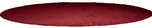 oval red rug.jpg.gif