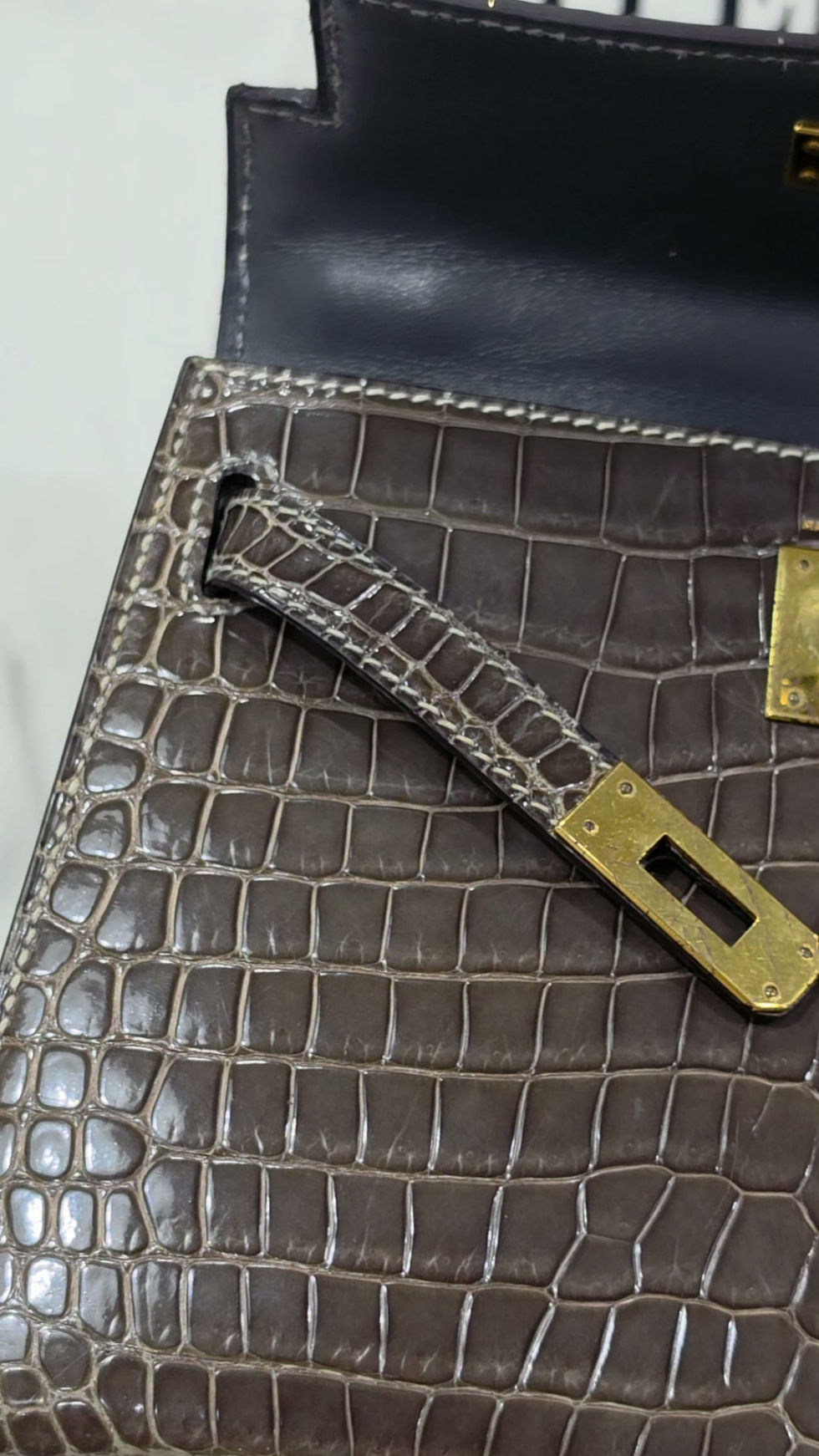 HBS Hyper Bag Spa Croc Leather Restoration.mp4