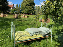 IMG_1153.jpeg
