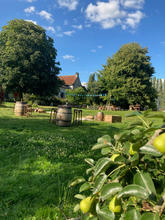 IMG_1206.jpeg