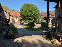 IMG_1079.jpeg