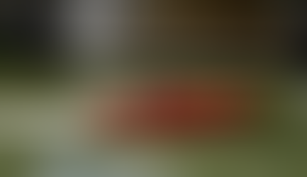 Electric Tour Boats In Paris To Use Repurposed Renault EV Batteries