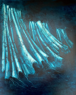 Nocturne III - The Blue Hour - 2026