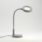 Professional Magnifying Lamp