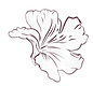 flor de ipe mudanças