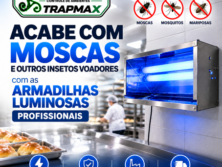 Armadilha Luminosa Barata Como Escolher com Qualidade