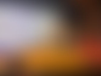 Vino e Vivo Employee Tops Statewide Culinary Competition