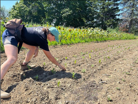 Vino e Vivo Server Embraces Farm to Table Lifestyle