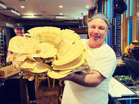 Chef Paul on Foraging and Finding the Mammoth Mushroom