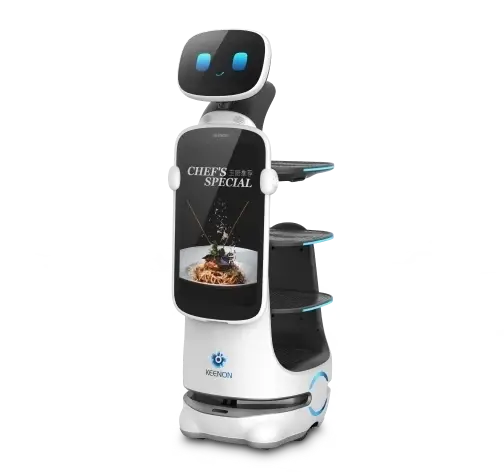 DINERBOT T10