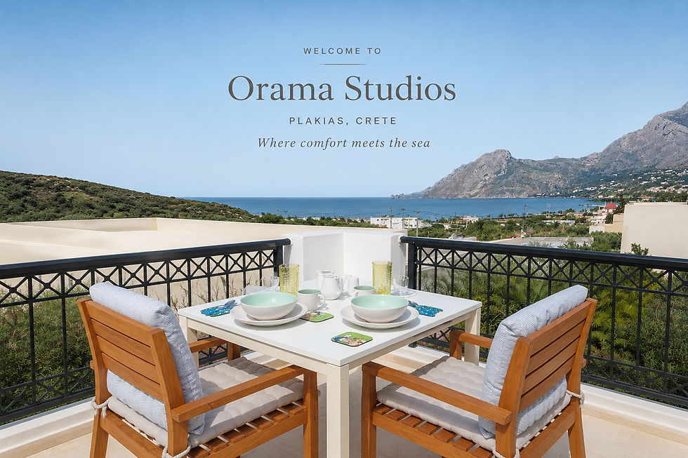 studio no6 balcony sea view