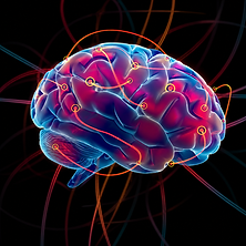 Brain.png