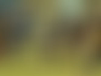 SECONDS ACTION AGAINST CELTIC.