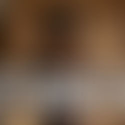 Your Excuses are Just Well-Dressed Lies (Team No Excuses) BLOG BY THE CONSULTING CHICK