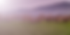 deer banner.png