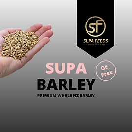 Pig | Supa Feeds - Simply the Best