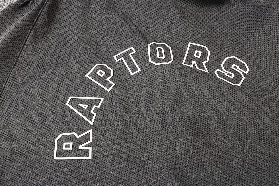 Thumbnail: TORONTO RAPTORS Tracksuit