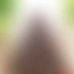 Ho, ho, ho! The silly season is upon us once more