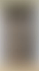 玄関ドア交換工事 ~施工期間1日~