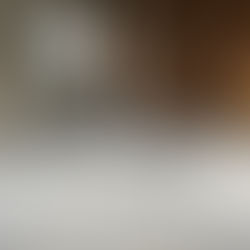 CL Planningショールームのリフォーム状況vol.2【沖縄の八重瀬町にて施工中】