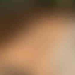 配筋を組みます