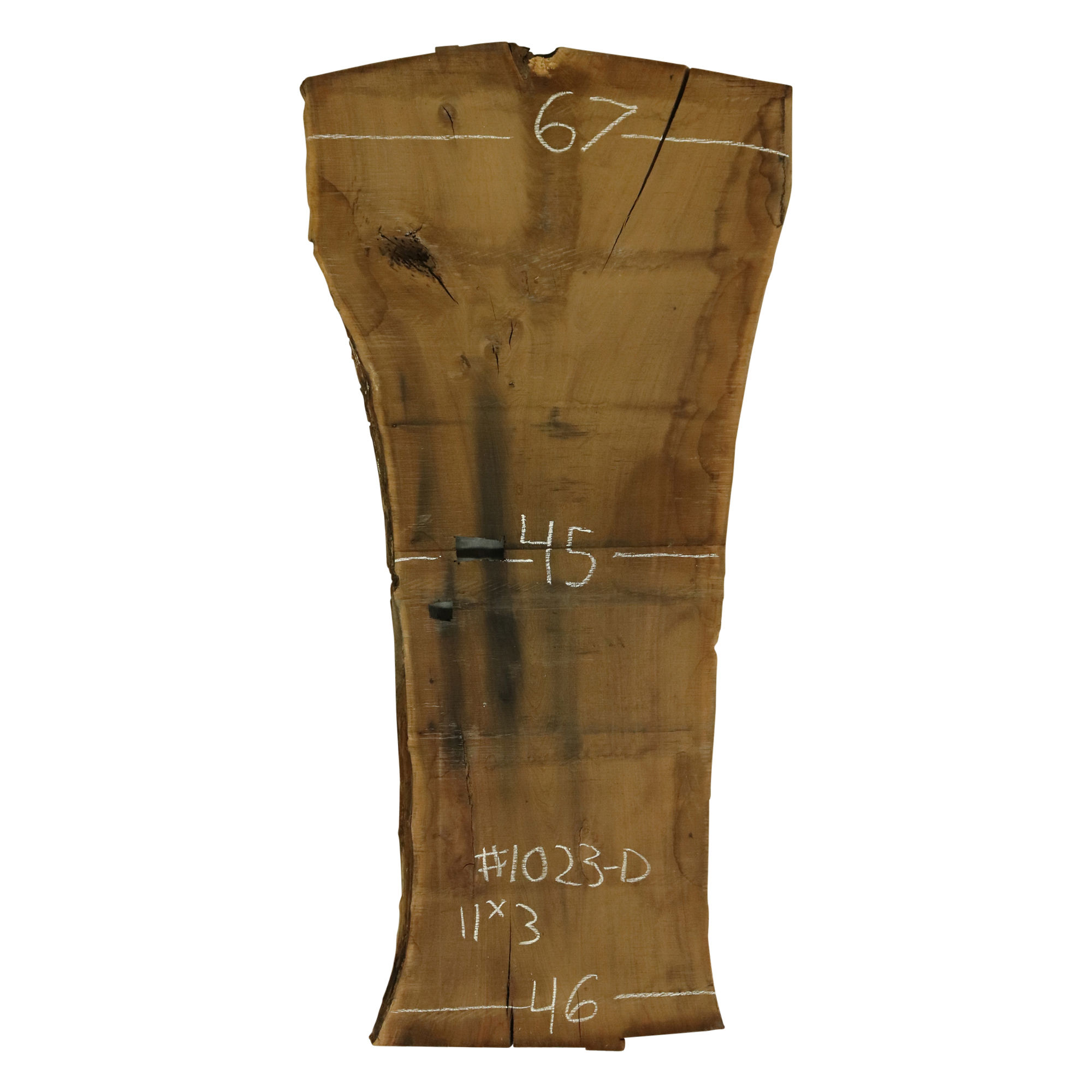 11' Walnut Slab (1023D)