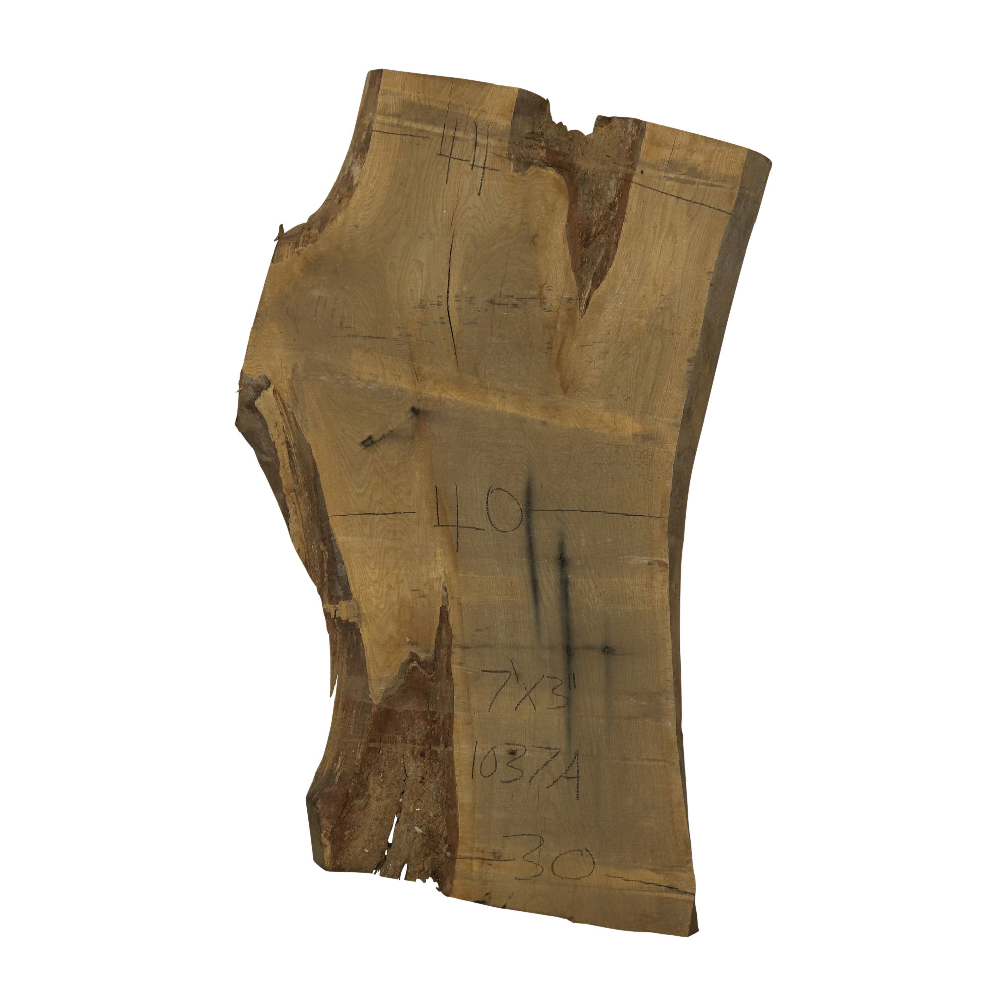 7' White Oak Slab (1037A)