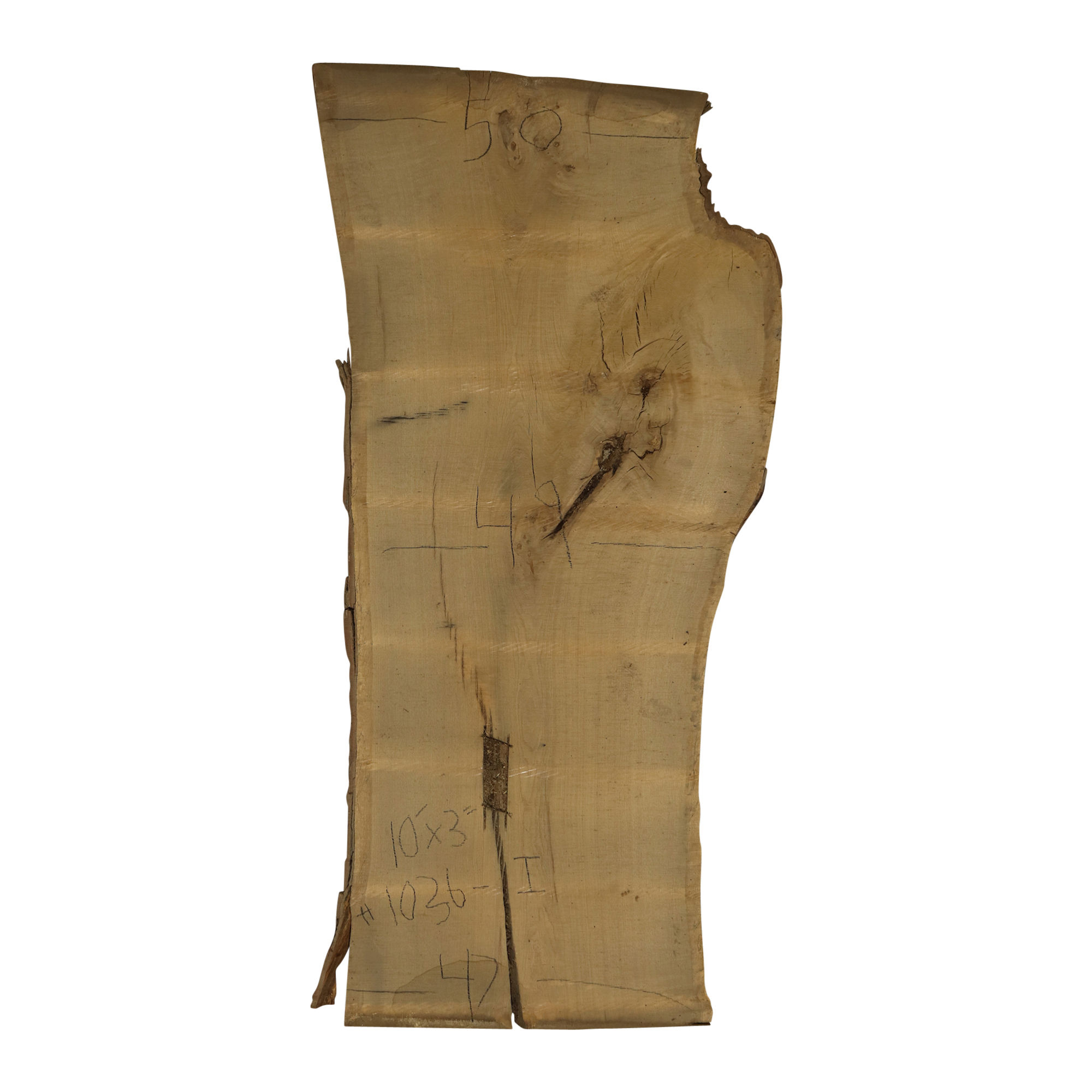10' White Oak Slab (1036I)