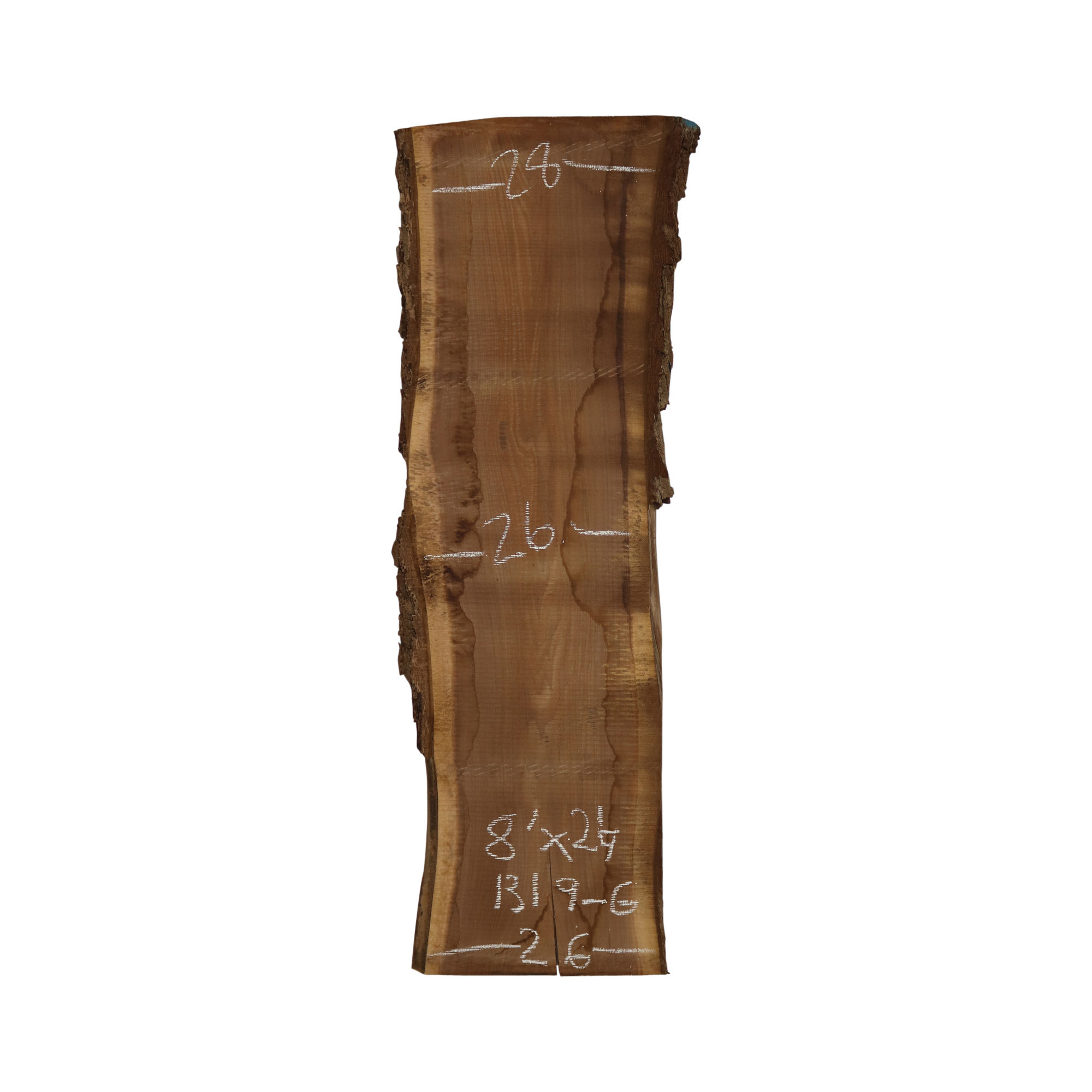 8' Walnut Slab (1319G)