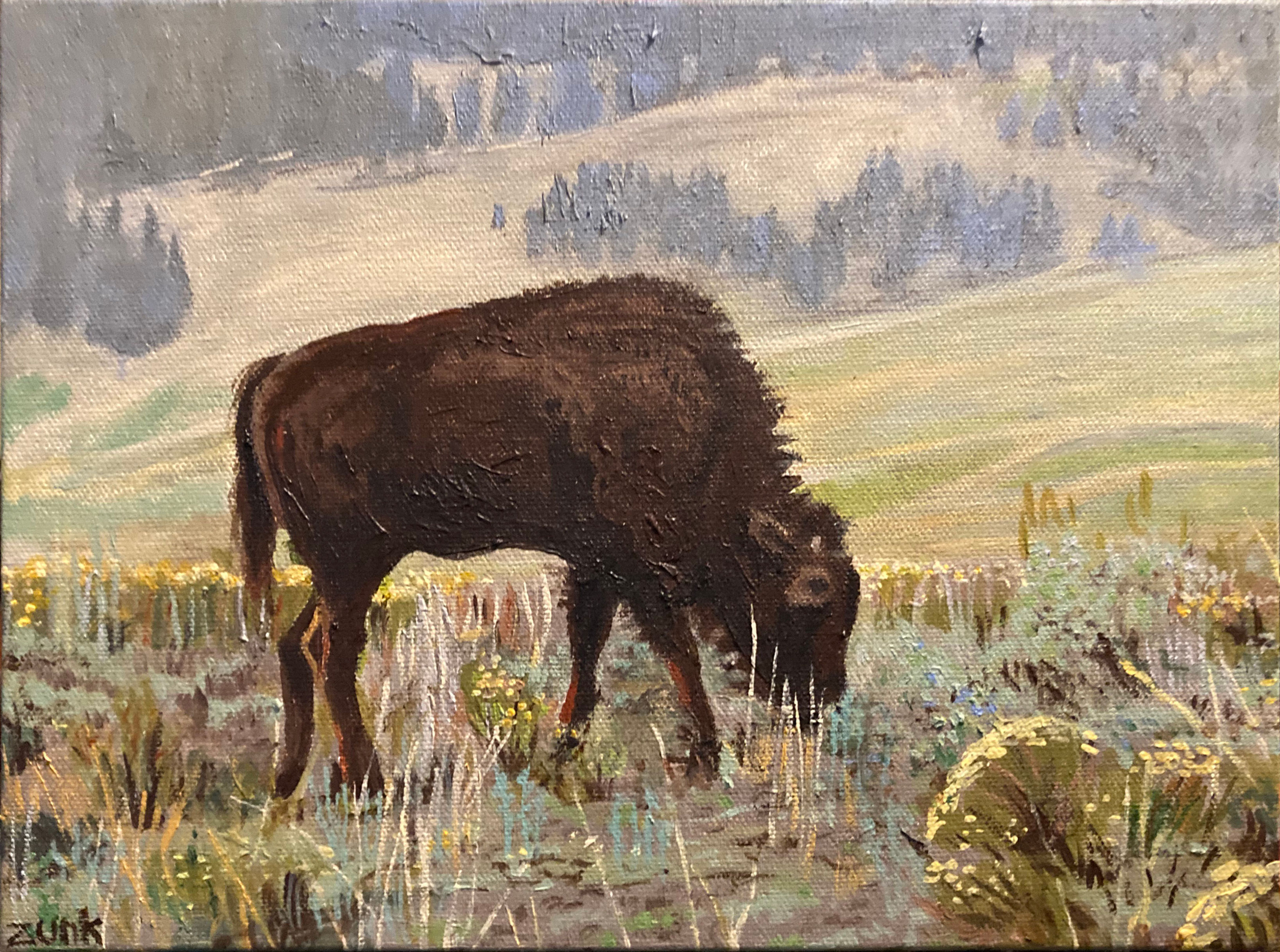 Bison Calf