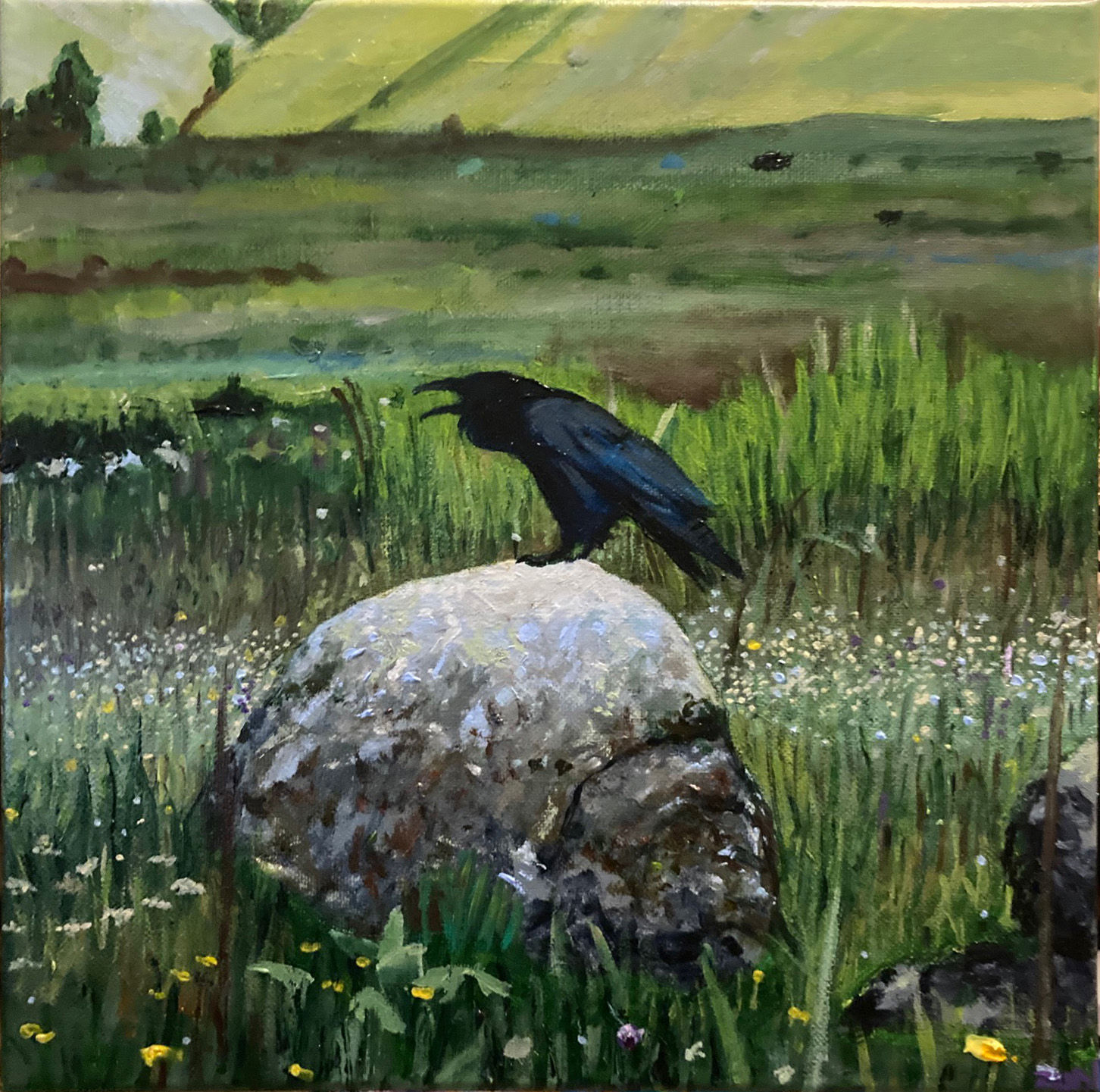 Raven In A Meadow