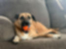 otis.jpg