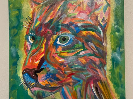 50501 Iowa Coalition Newsletter Tuesday, September 16th, 2025