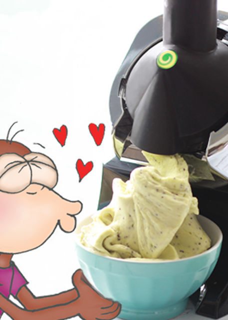 Yonanas Frozen Treat Maker