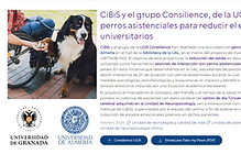 colaboración CIBIS.PNG
