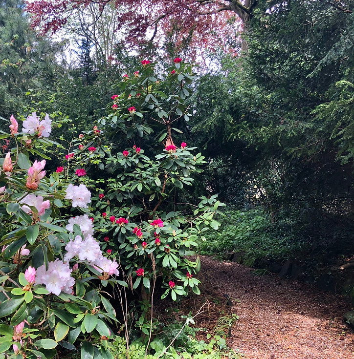Woodlands Walkways Peak District