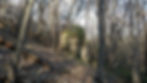 Dolomite outcrop in the woods