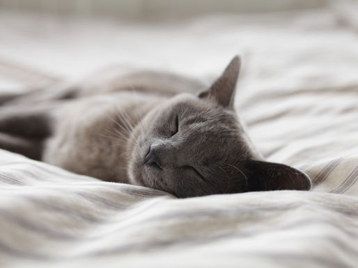 Comment améliorer la qualité de son sommeil