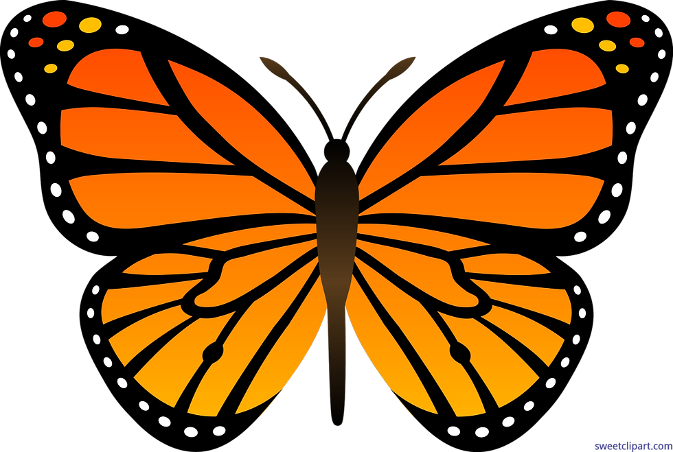 The monarch butterfly, symbol of renewal and  the cycles of life, from ancient indigenous people throughout North to South America to today.