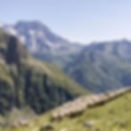 Conférence : Montagne et activité agricole, une histoire qui date
